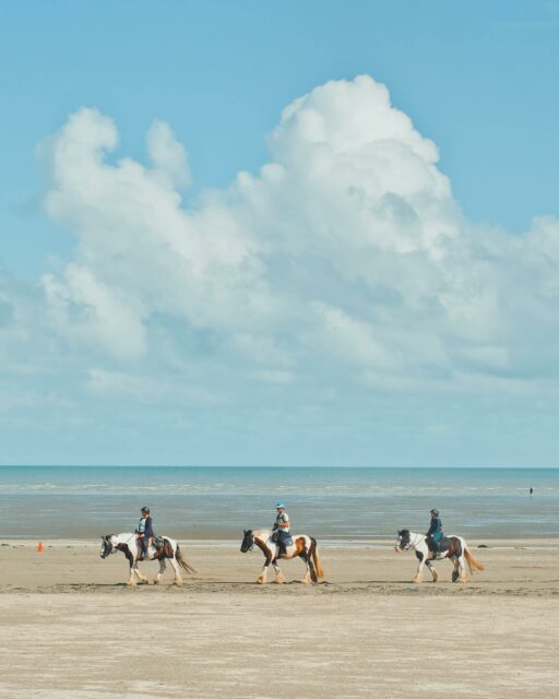07/08/23 - 11h28 - 🐴🐴🐴 à Cherrueix
•
#cherrueix #baiedumontsaintmichel #leviviersurmer #plage #cheval #bretagne #illeetvilaine