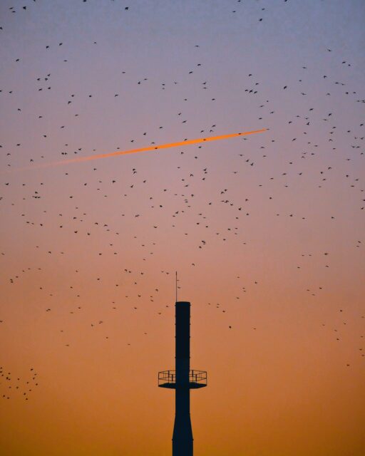 Coucher de soleil rennais 🌆
#rennes #rennesmaville #rennescity #rennesmetropole #tourismerennes #visitrennes