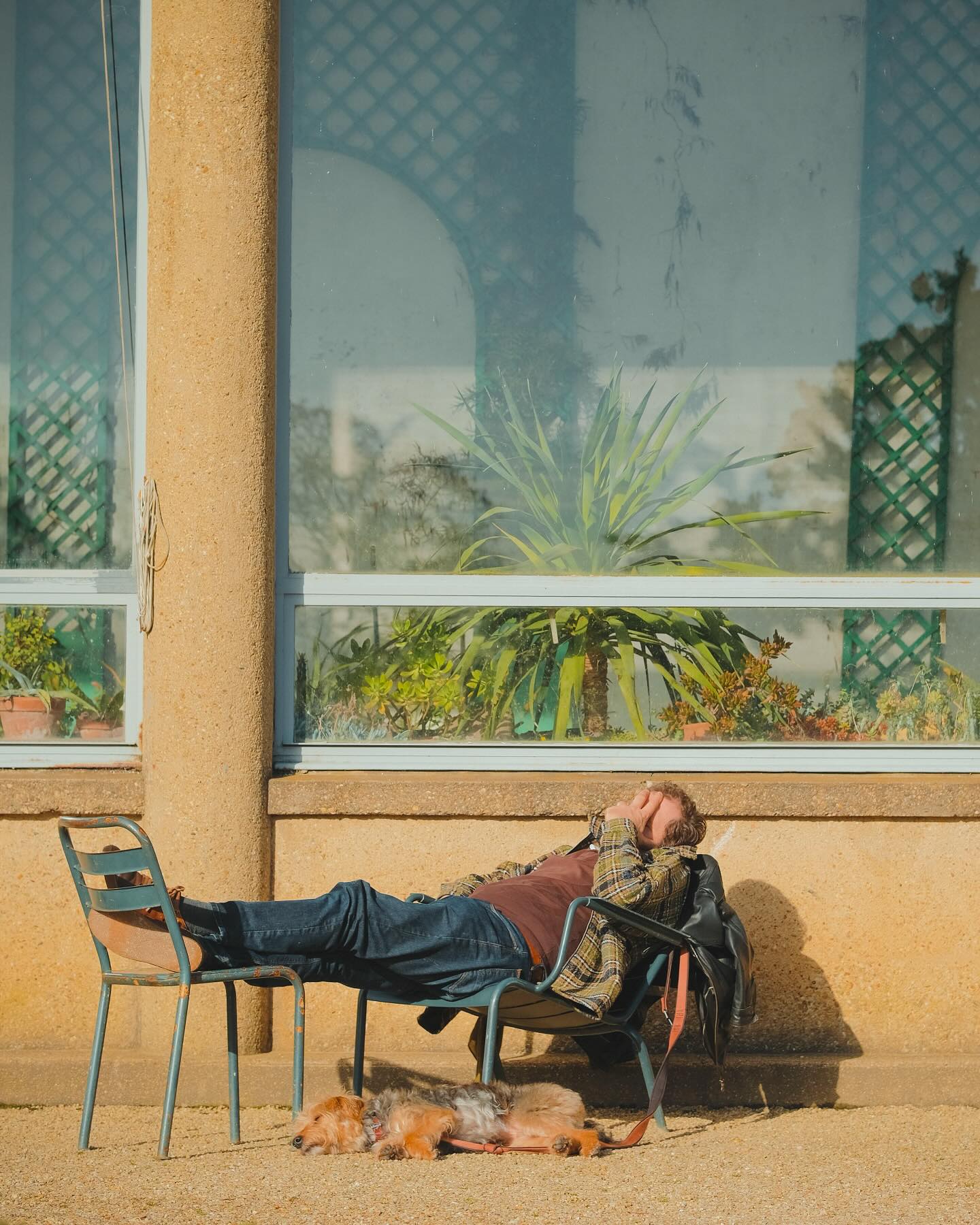 La sieste printanière sous le soleil du parc du Thabor 🛌 😴
•
#rennes #rennesmaville #thabor #parcduthabor #sieste #dormir #tourismerennes #visitrennes #sommeil #repos #dodo #nap #reve #dream