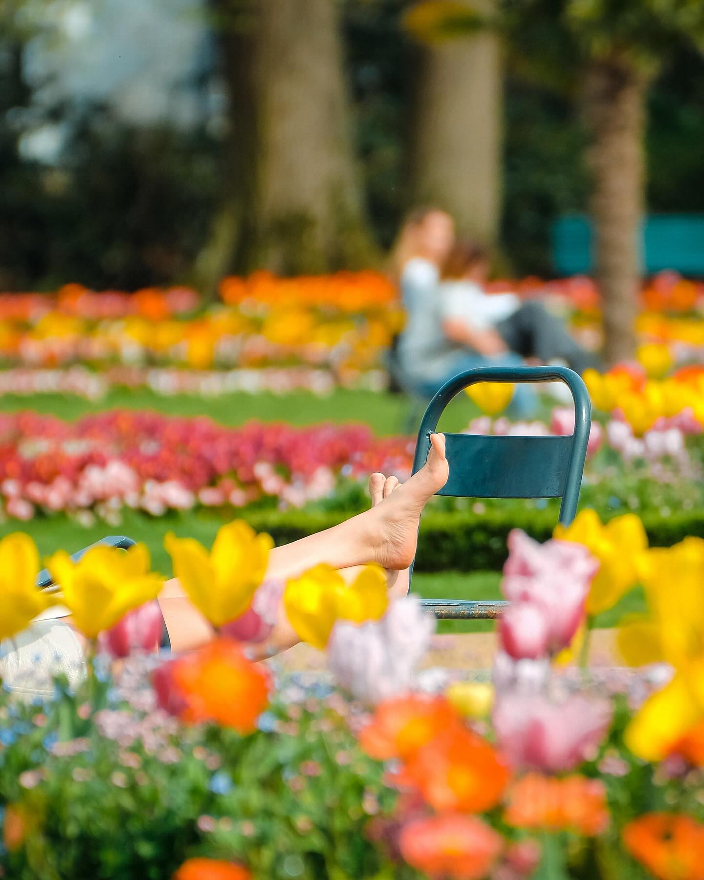 Photo réalisée pour le programme Mai > Juin des @tombeesdelanuit 🌹🦶🏻🦶🏻🌸
#rennes #rennesmaville #rennesmetropole #rennescity #rennestourisme #tourismerennes #destinationrennes #visitrennes #tombeesdelanuit #flowers #icanbuymyselfflowers #fleurs #pieds
