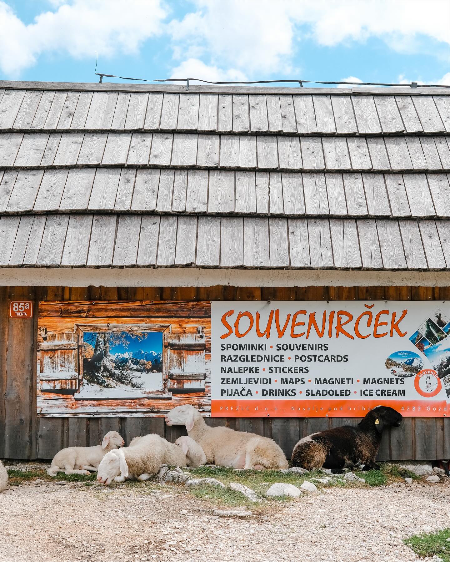 23/07/25 - 14h32 - Souvenirs de biquettes 🐑
•
•
•
•
•
#slovenia #slovenija #visitslovenia #slovenia #sloveniatravel #ifeelslovenia #slovenia_ig #feelslovenia #igslovenia #slowenien #triglav #triglavnationalpark #vrsicpass #vrsic