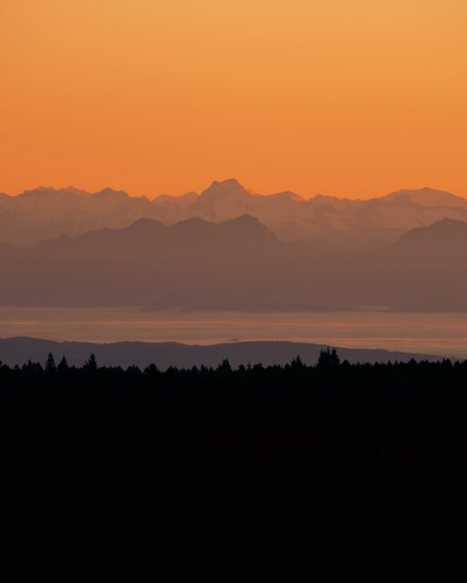 29/12/25 • 8h23 • Les Alpes depuis le Mont Lozère de bon matin 🏔️🌅
•
#cevennes #cevennestourisme #montlozere #lozere #lozeretourisme