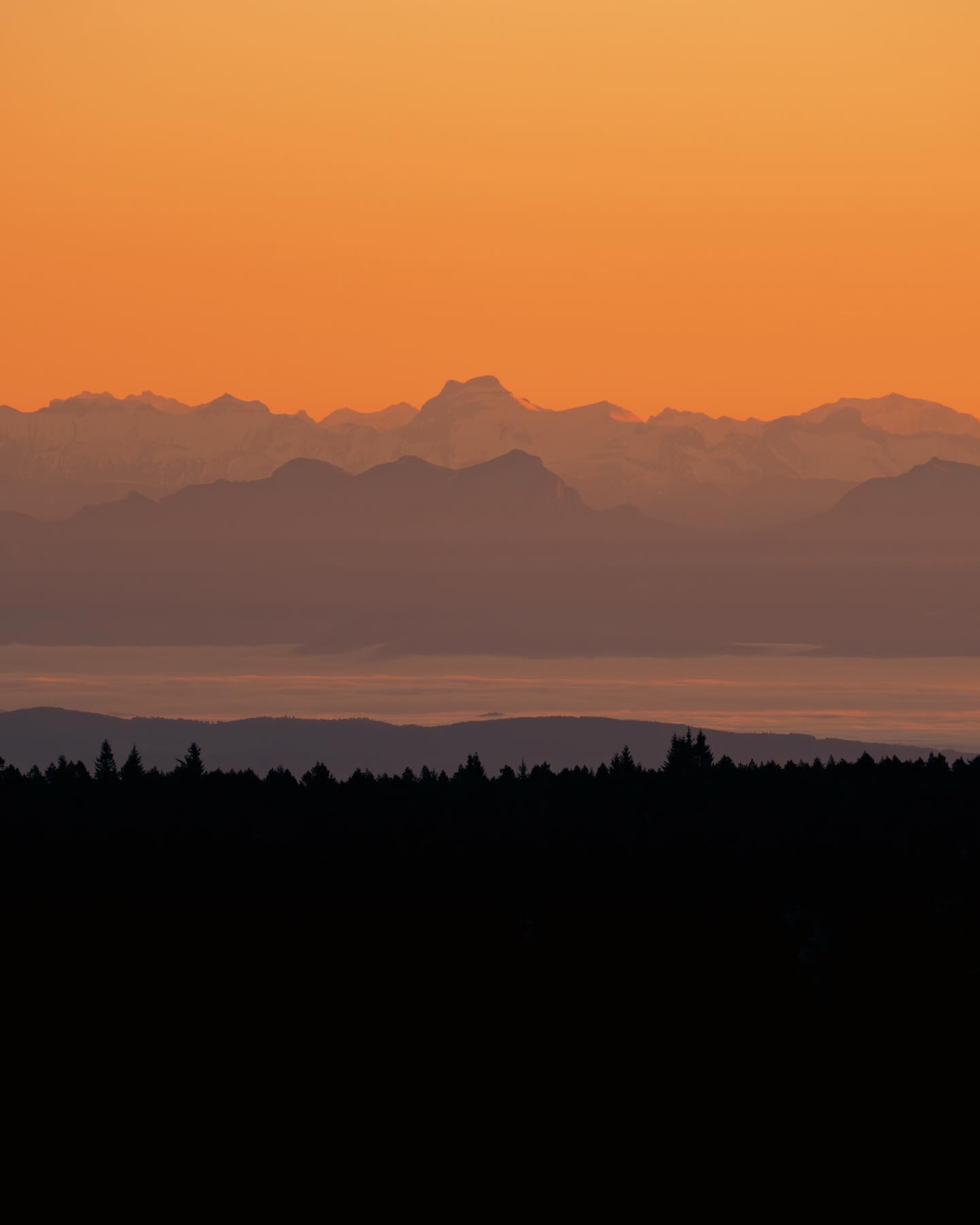 29/12/25 • 8h23 • Les Alpes depuis le Mont Lozère de bon matin 🏔️🌅
•
#cevennes #cevennestourisme #montlozere #lozere #lozeretourisme