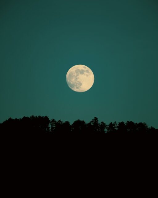 02/01/26 • 16h51 • Pleine lune dans les gorges du Tarn lune 🌝
•
#pleinelune #lune #moon #fullmoon