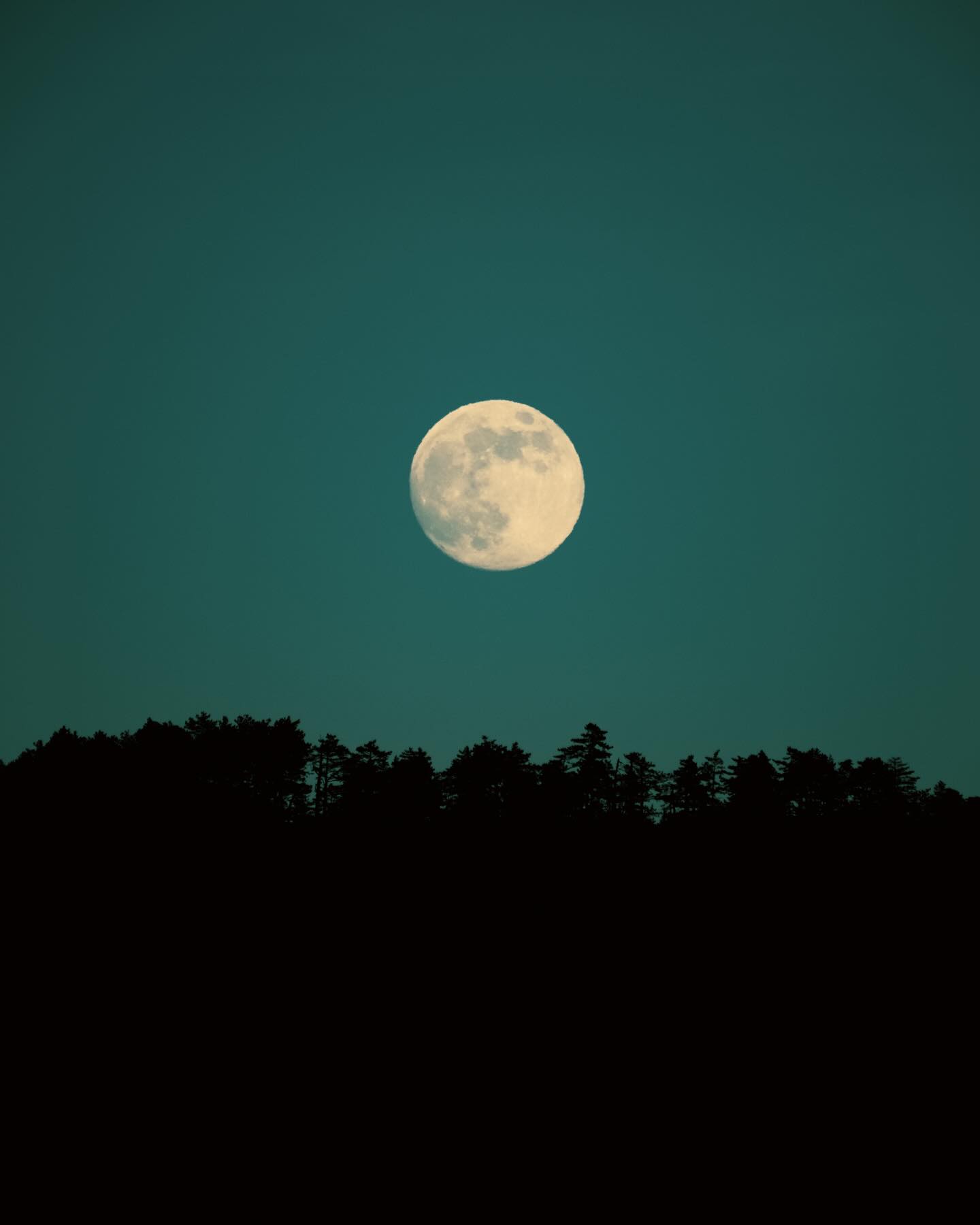 02/01/26 • 16h51 • Pleine lune dans les gorges du Tarn lune 🌝
•
#pleinelune #lune #moon #fullmoon