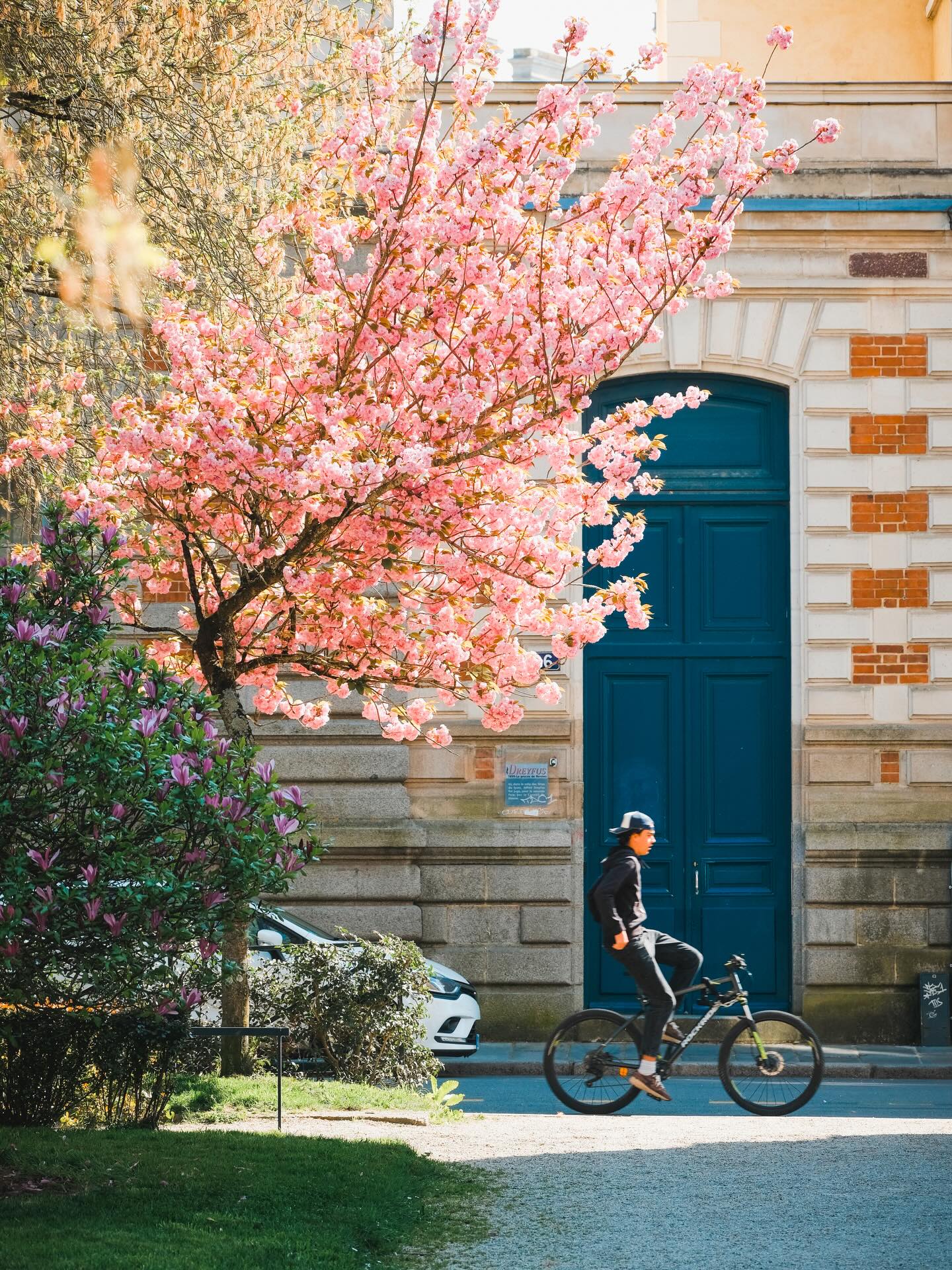 Photo réalisée pour le programme Mars > Avril des @tombeesdelanuit