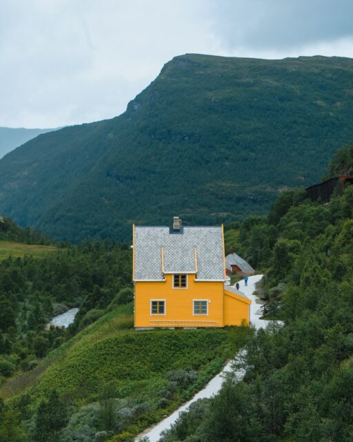 01/08/26 • 12h02 • La maison jaune.
•
#norway #myrdal #flam #house #flåmsbana