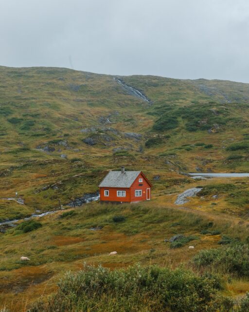 03/08/26 • 15h04 • Red house
•
#norway #fjord #redhouse #norge