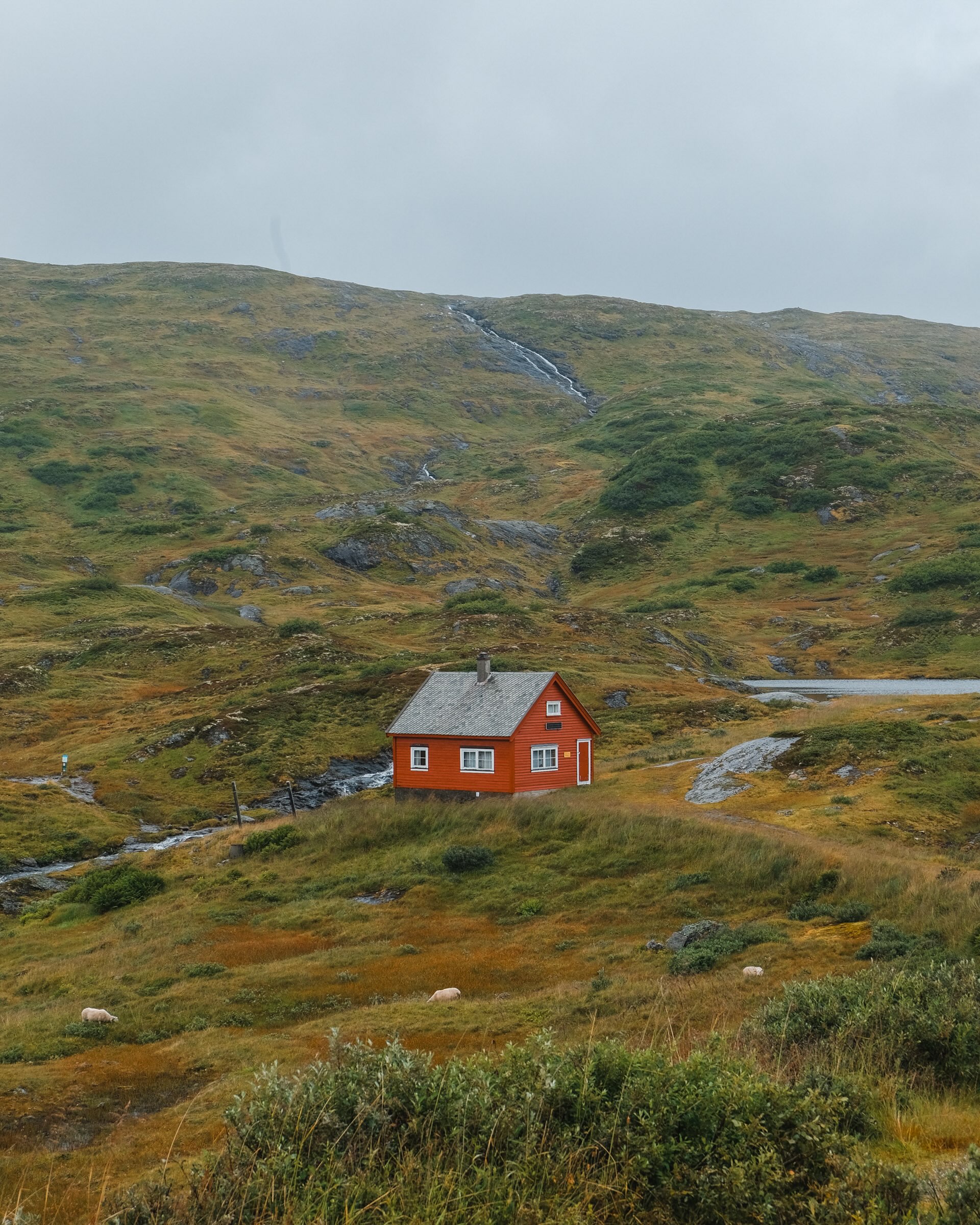 03/08/26 • 15h04 • Red house
•
#norway #fjord #redhouse #norge